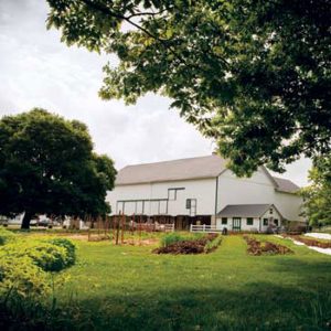 Organic Farming Program Provides Jobs for Veterans Image